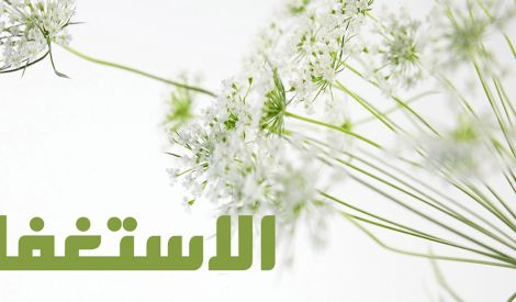 من هدي القرآن: المغفرة والاستغفار
