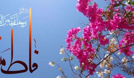 مقام الزهراء عليها السلام كما يرويه التاريخ‏
