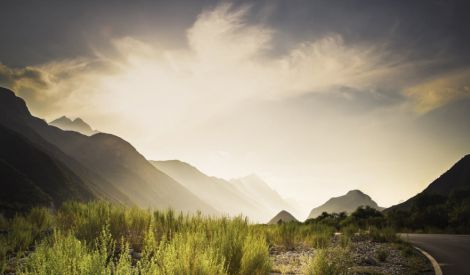 قصة العدد: فأكله الذئب...
