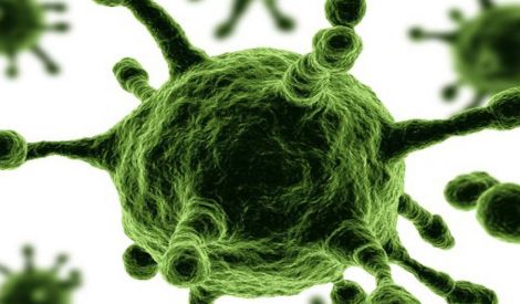 فيروس يستيقظ من سباته  بعد 30 ألف سنة
