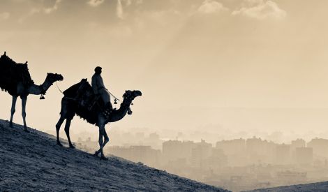 مناسبة: الهجرة لإقامة دولة التوحيد