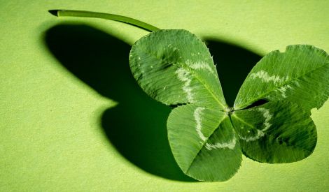 بأقلامكم: صرخة الأم.. أمل