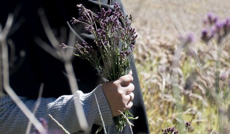 زوجتي: سكني وأنسي