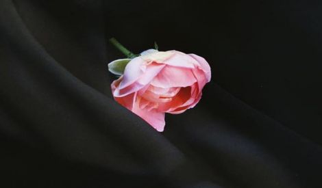 نور روح اللَّه‏: فاطمة: المرأة التي لو كانت رجلاً لكانت نبياً
