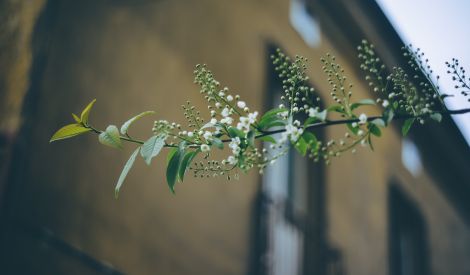 الآداب المعنوية للصلاة: في الاعتبارات القلبية لستر العورة