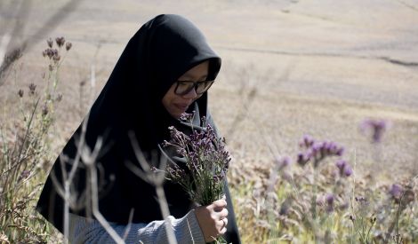 السيدة الزهراء عليها السلام قدوتنا المثلى