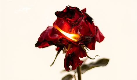 أخلاقنا | لا تُفسد قلبك بالحسد (1)*