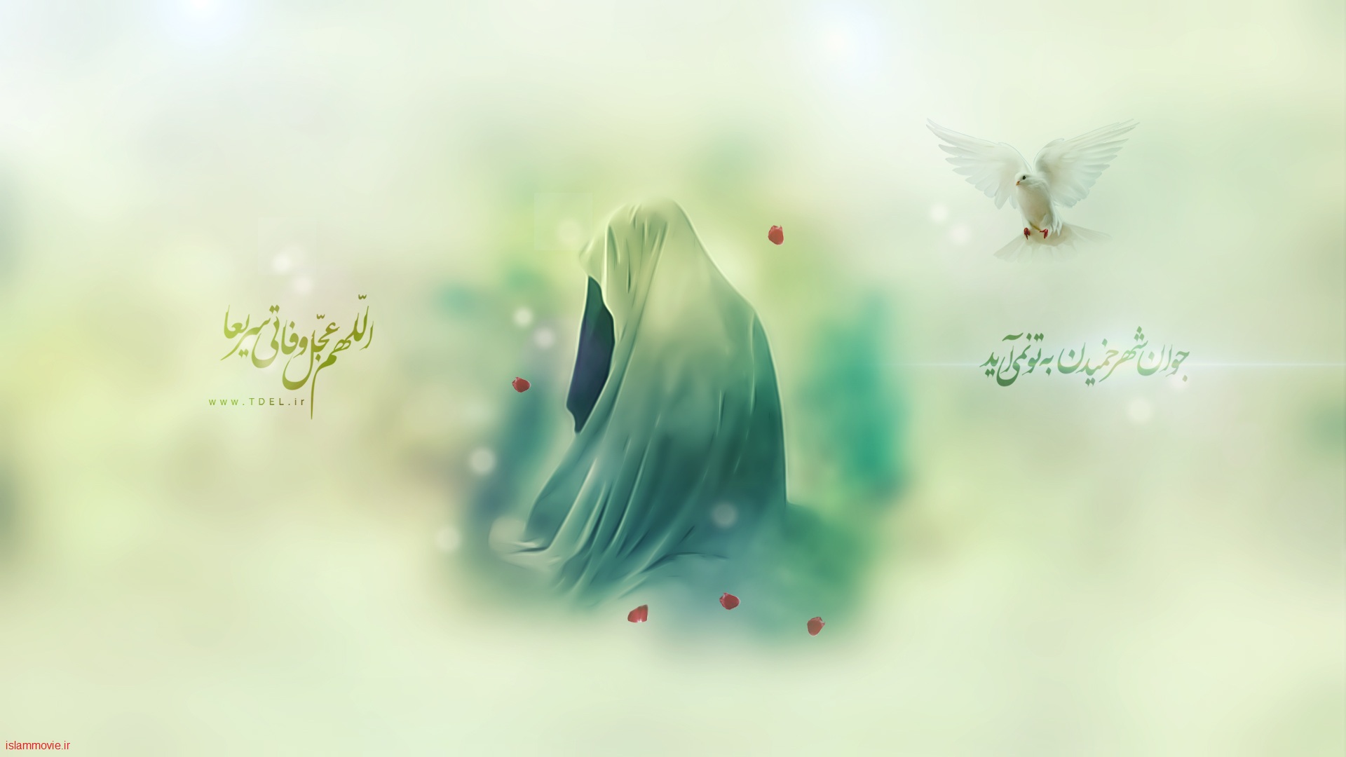 المرأة والإنسان الكامل